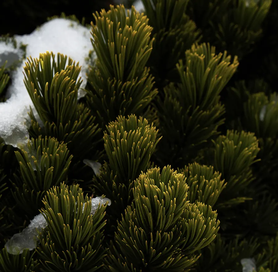 Scientific Research and Office Space